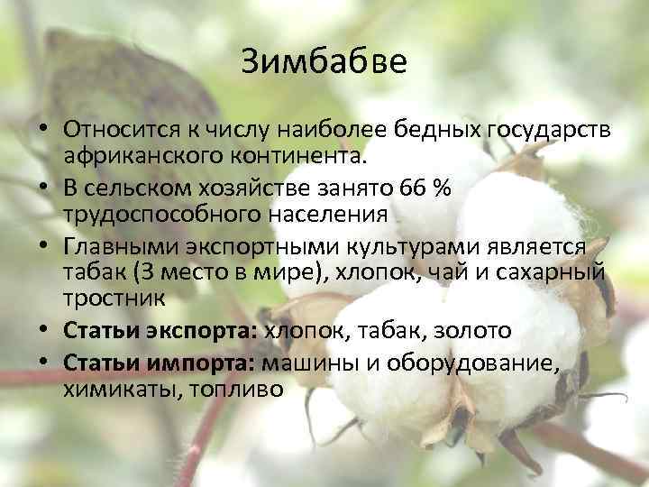 Зимбабве • Относится к числу наиболее бедных государств африканского континента. • В сельском хозяйстве