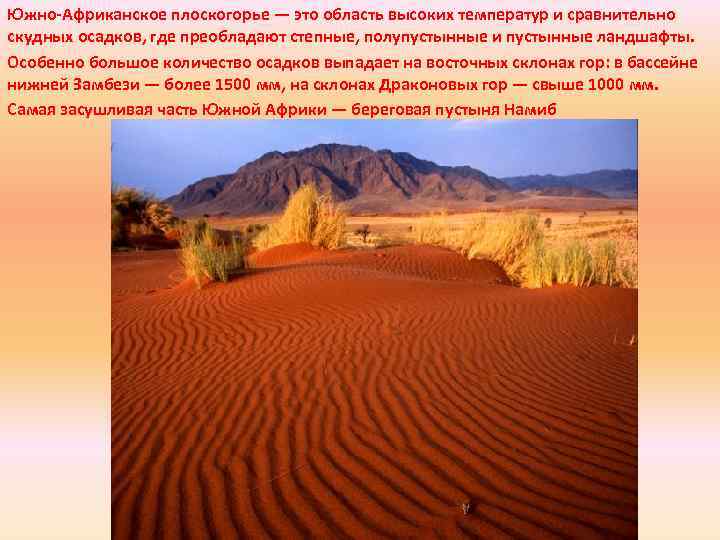 Южно-Африканское плоскогорье — это область высоких температур и сравнительно скудных осадков, где преобладают степные,