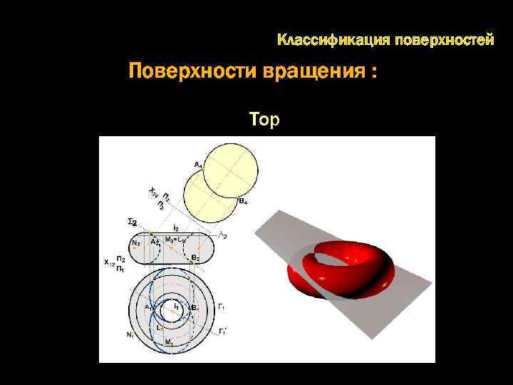 Классификация поверхностей Поверхности вращения : Тор 