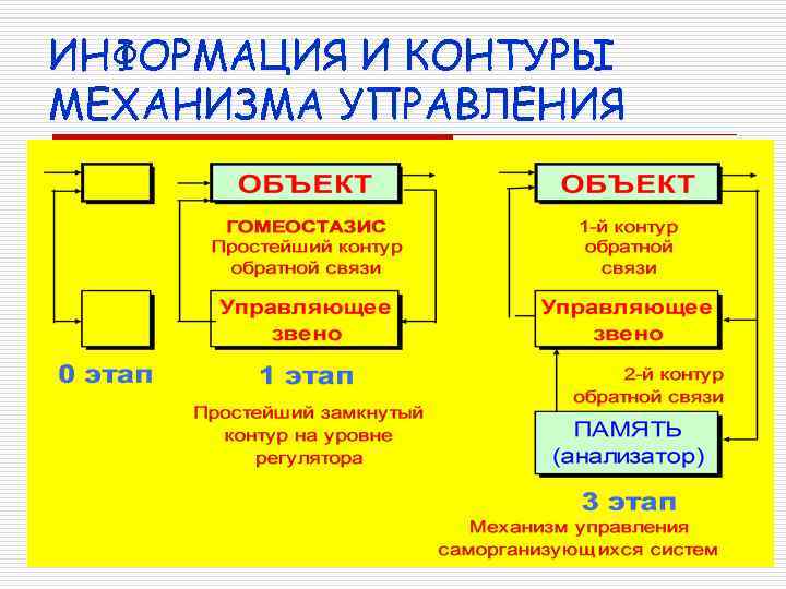 ИНФОРМАЦИЯ И КОНТУРЫ МЕХАНИЗМА УПРАВЛЕНИЯ 