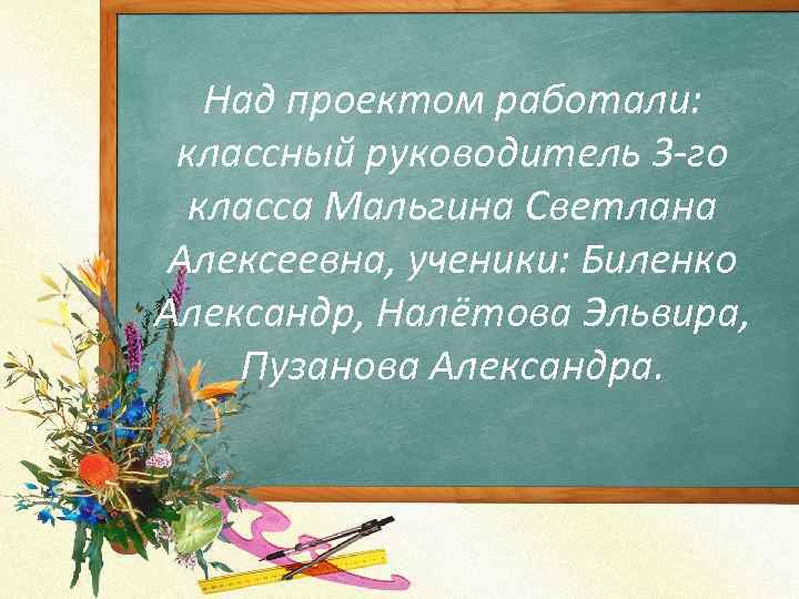 Над проектом работали: классный руководитель 3 -го класса Мальгина Светлана Алексеевна, ученики: Биленко Александр,