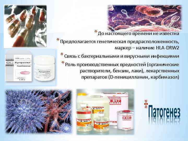 * До настоящего времени не известна * Предполагается генетическая предрасположенность, маркер – наличие HLA-DRW