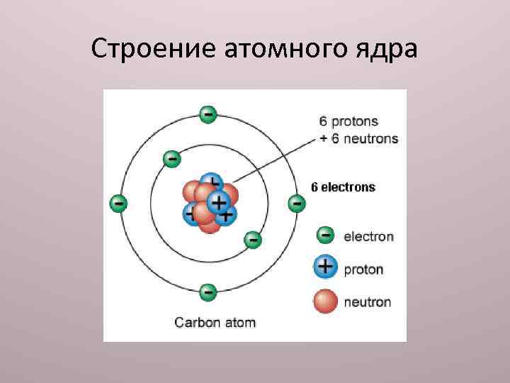 Строение атомного ядра физика. Во сколько раз ядро меньше атома