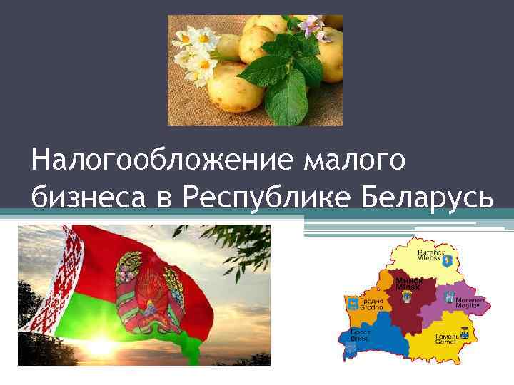 Налогообложение малого бизнеса в Республике Беларусь 
