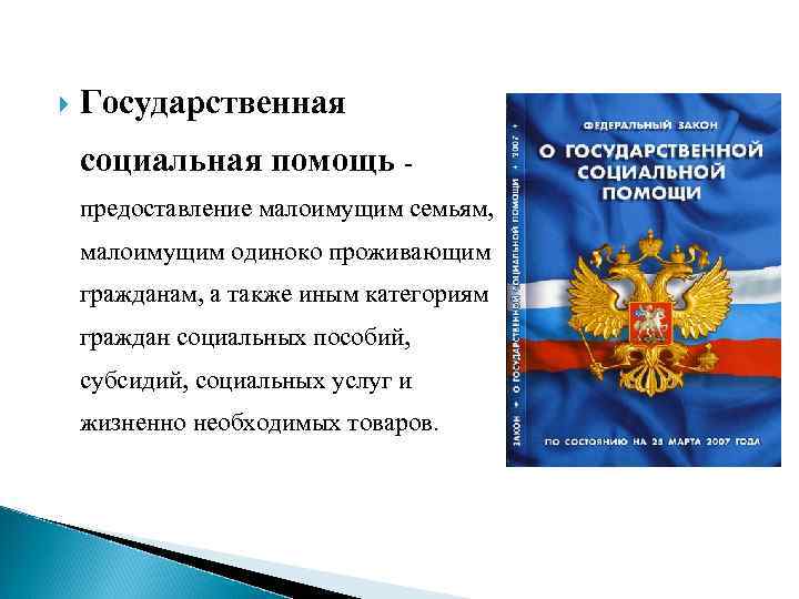 Федеральный закон о государственной социальной помощи