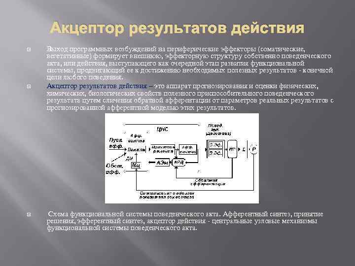 Операциональная схема фс механизм целенаправленного поведения