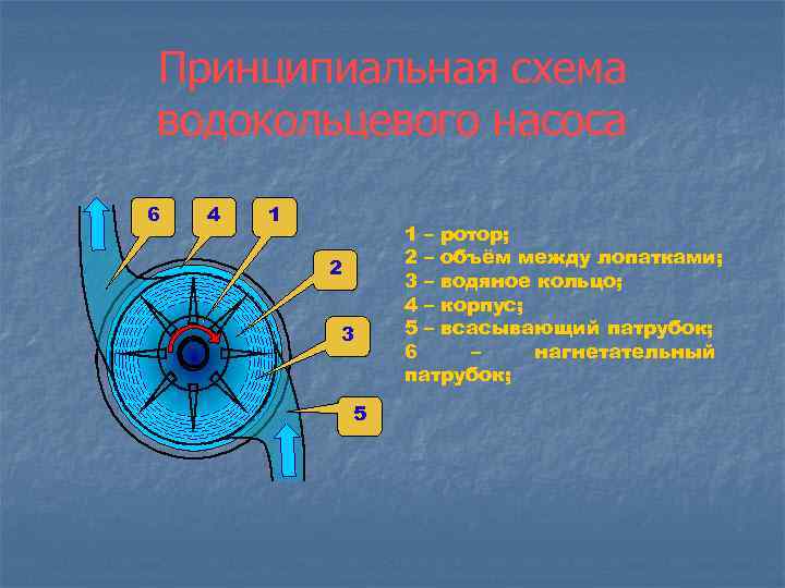 Принципиальная схема водокольцевого насоса 6 4 1 2 3 5 1 – ротор; 2