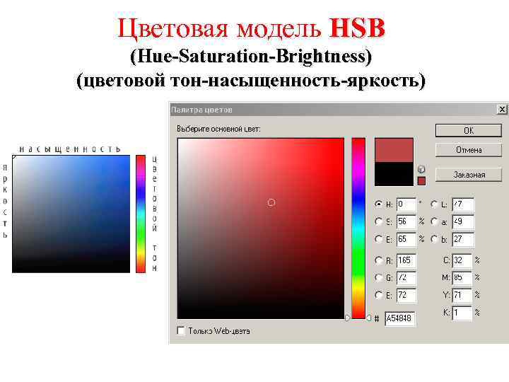 Цветовая модель HSB (Hue-Saturation-Brightness) (цветовой тон-насыщенность-яркость) 