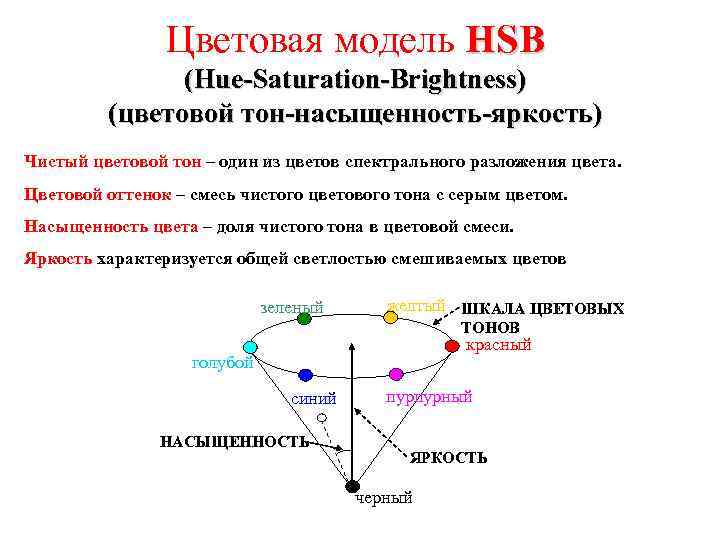 Цветовая модель HSB (Hue-Saturation-Brightness) (цветовой тон-насыщенность-яркость) Чистый цветовой тон – один из цветов спектрального