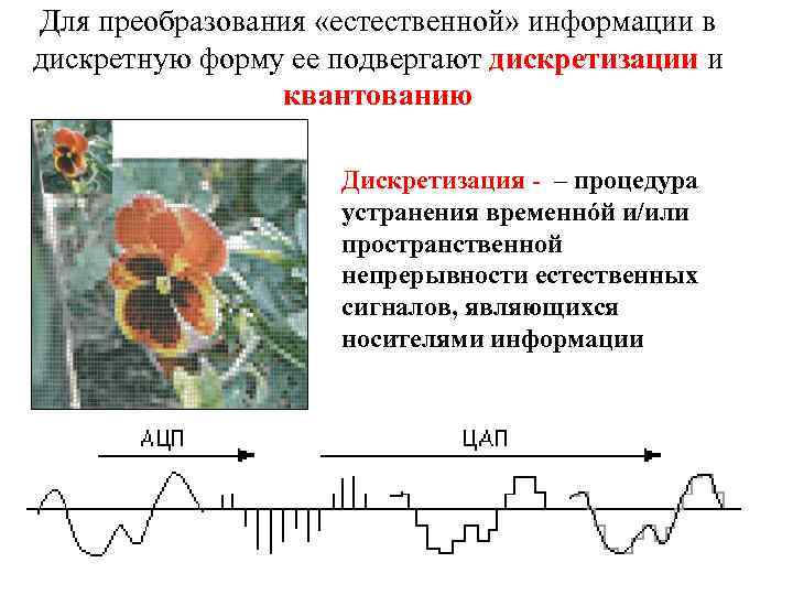 Процесс преобразования информации из непрерывной формы. Преобразование информации из дискретной в непрерывную. Преобразование информации из непрерывной формы в дискретную. Примеры дискретизации в информатике. Примеры информации из дискретной формы в непрерывную.