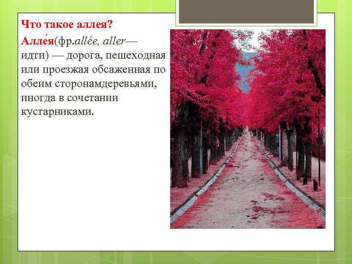 Что такое аллея? Алле я(фр. allée, aller— идти) — дорога, пешеходная или проезжая обсаженная