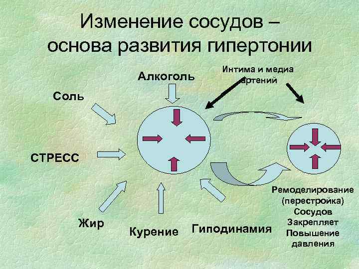 План школы здоровья для пациентов с артериальной гипертензией