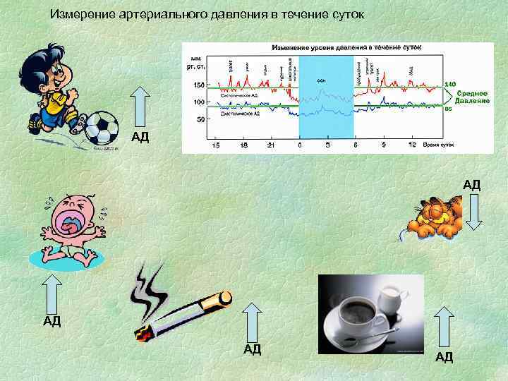 Давление в течении дня. Колебания артериального давления в течение суток. Изменение артериального давления в течение суток. Изменение давления в течении суток у человека. Изменение ад в течение суток.