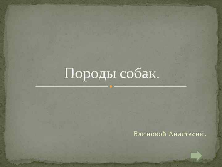 Породы собак. Блиновой Анастасии. 