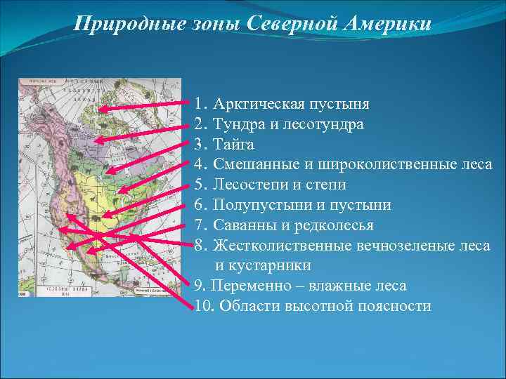 Природные зоны Северной Америки 1. 2. 3. 4. 5. 6. 7. 8. Арктическая пустыня