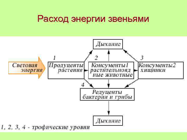 Расход энергии звеньями 