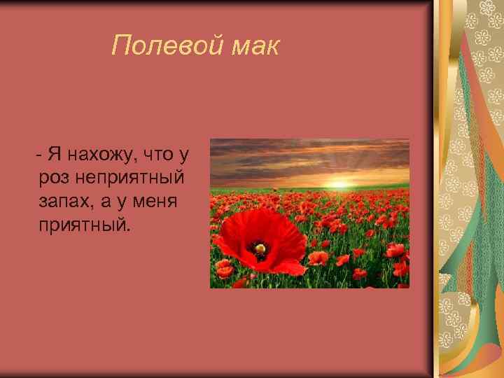 Полевой мак - Я нахожу, что у роз неприятный запах, а у меня приятный.