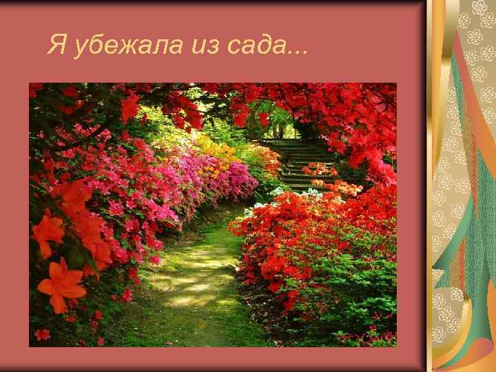 Я убежала из сада. . . 
