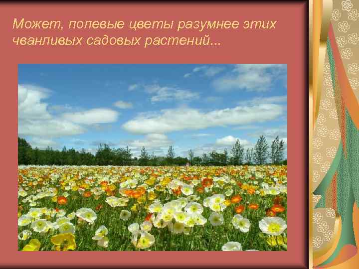 Может, полевые цветы разумнее этих чванливых садовых растений. . . 