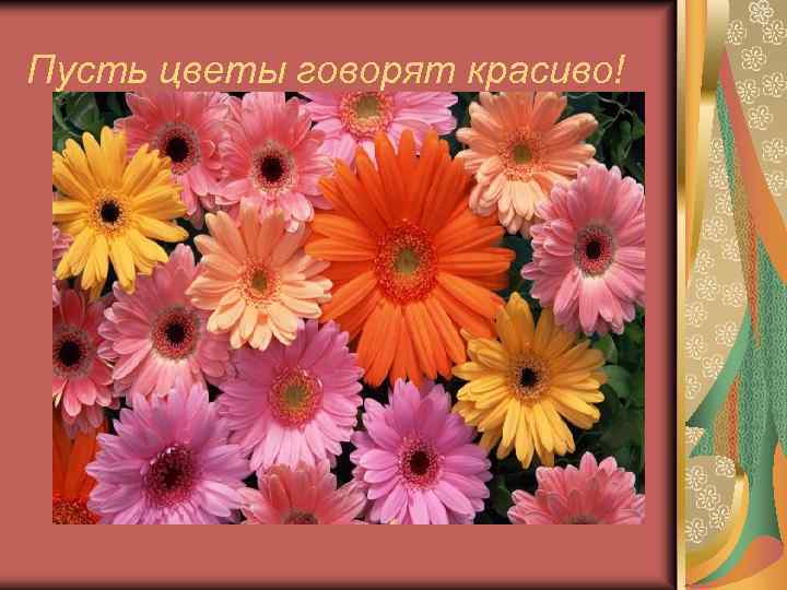 Пусть цветы говорят красиво! 