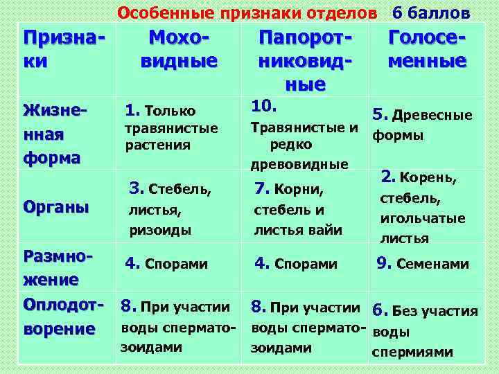 Особенные признаки отделов 6 баллов Признаки Жизненная форма Органы Моховидные 1. Только травянистые растения