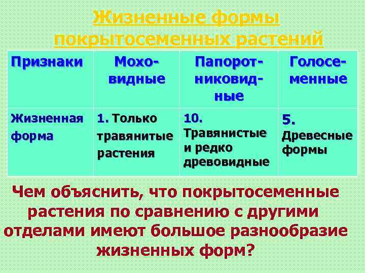 Жизненные формы покрытосеменных растений Признаки Моховидные Жизненная форма 1. Только травянитые растения Папоротниковидные Голосеменные