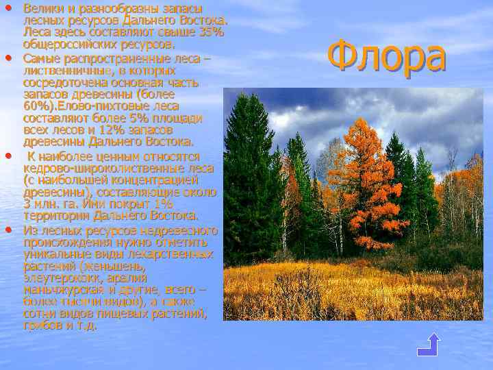  • Велики и разнообразны запасы • • • лесных ресурсов Дальнего Востока. Леса