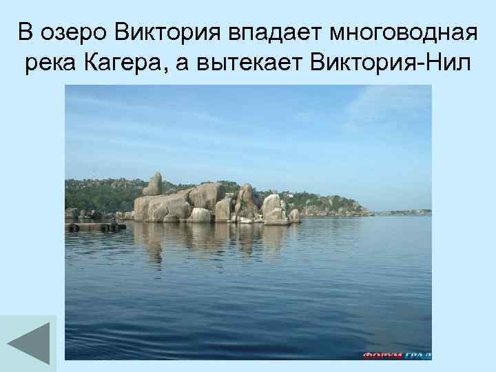 В озеро Виктория впадает многоводная река Кагера, а вытекает Виктория-Нил 