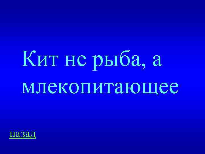 Кит не рыба, а млекопитающее назад 