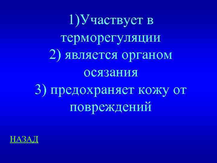 1)Участвует в терморегуляции 2) является органом осязания 3) предохраняет кожу от повреждений НАЗАД 