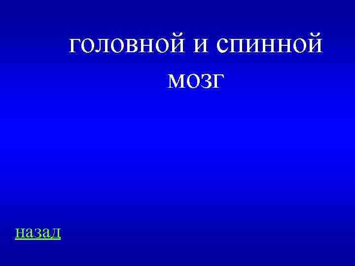 головной и спинной мозг назад 