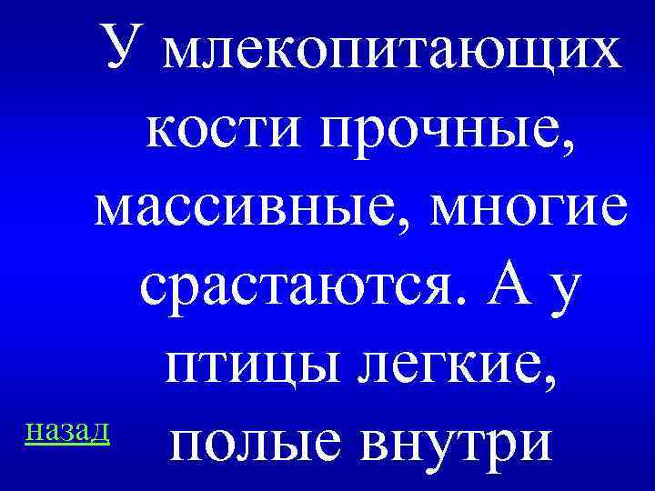 У млекопитающих кости прочные, массивные, многие срастаются. А у птицы легкие, назад полые внутри