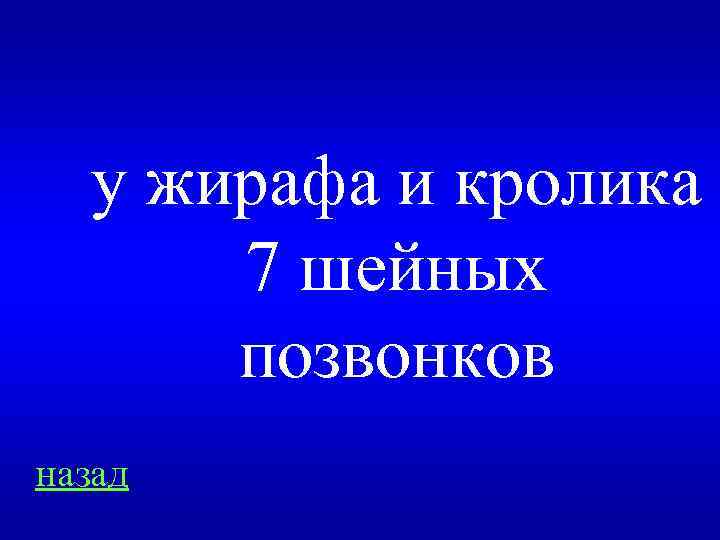 у жирафа и кролика 7 шейных позвонков назад 