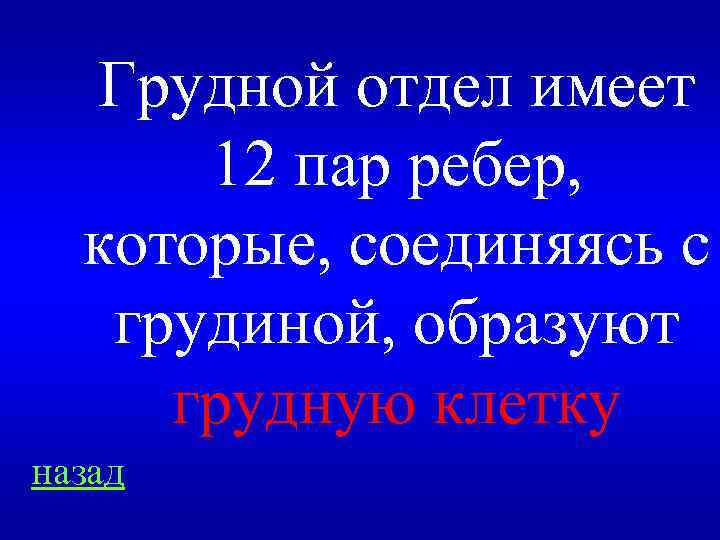 Грудной отдел имеет 12 пар ребер, которые, соединяясь с грудиной, образуют грудную клетку назад