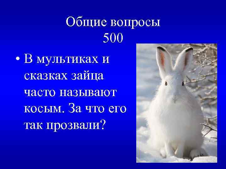 Общие вопросы 500 • В мультиках и сказках зайца часто называют косым. За что