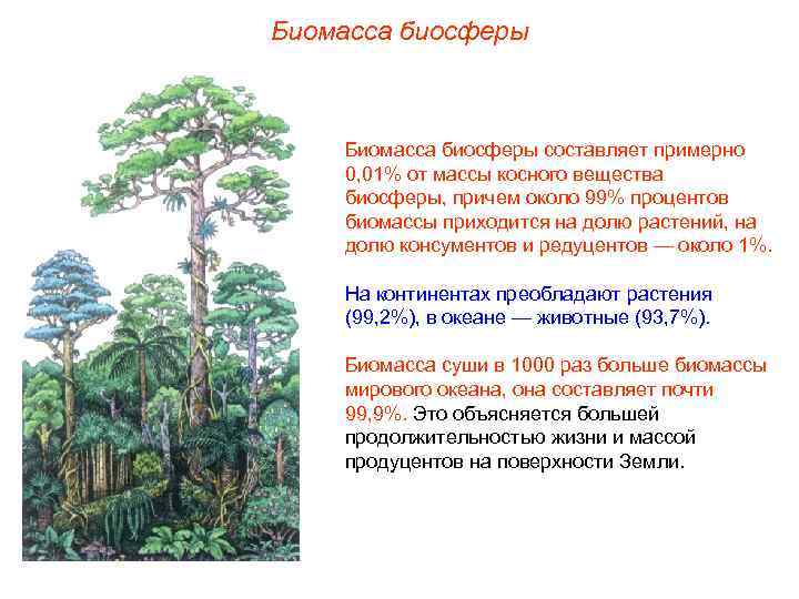 Биомасса биосферы составляет примерно 0, 01% от массы косного вещества биосферы, причем около 99%
