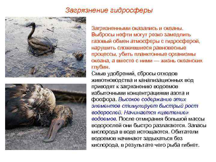 Загрязнение гидросферы Загрязненными оказались и океаны. Выбросы нефти могут резко замедлить газовый обмен атмосферы
