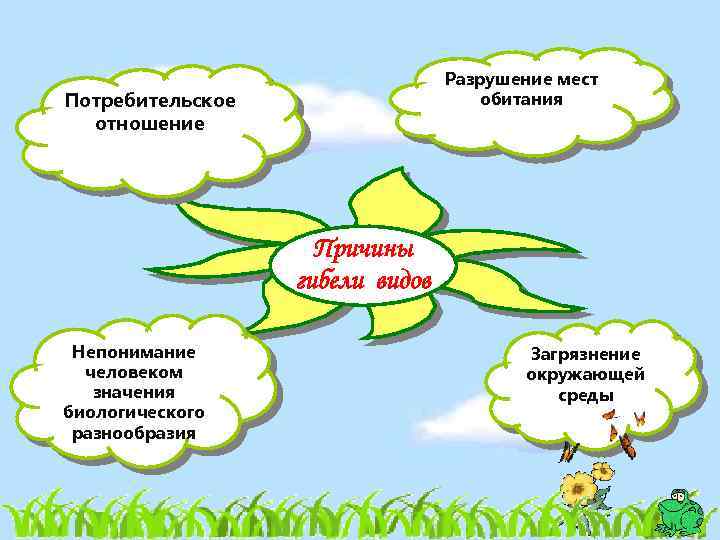 Разрушение мест обитания Потребительское отношение Причины гибели видов Непонимание человеком значения биологического разнообразия Загрязнение