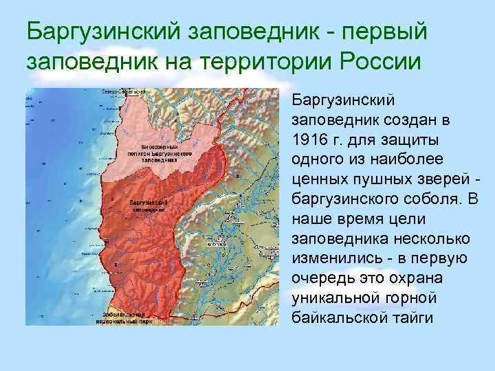 Баргузинский заповедник - первый заповедник на территории России Баргузинский заповедник создан в 1916 г.