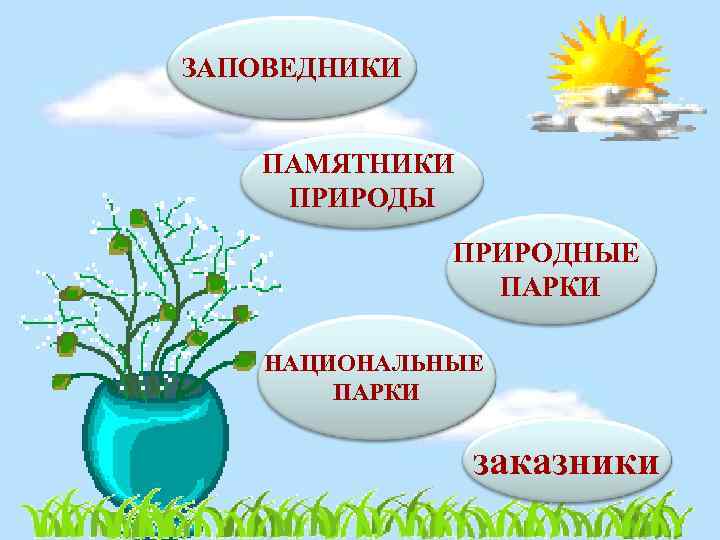 Важность охраны живого мира планеты 5 класс биология презентация пономарева