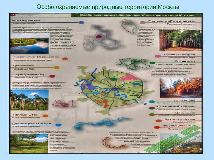 Важность охраны живого мира планеты 5 класс биология проект