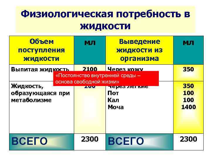 Физиологическая потребность в жидкости Объем поступления жидкости мл Выпитая жидкость 2100 Жидкость, образующаяся при