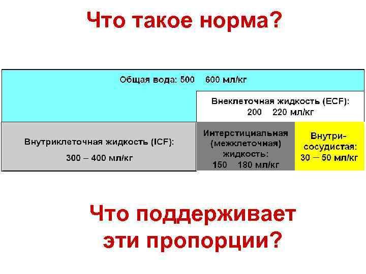 Что такое норма? Что поддерживает эти пропорции? 