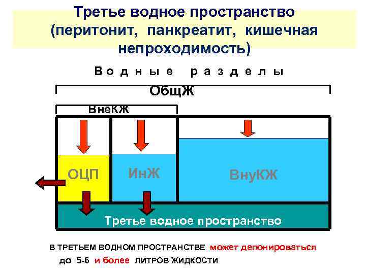 Третье водное пространство (перитонит, панкреатит, кишечная непроходимость) Во д н ы е р а