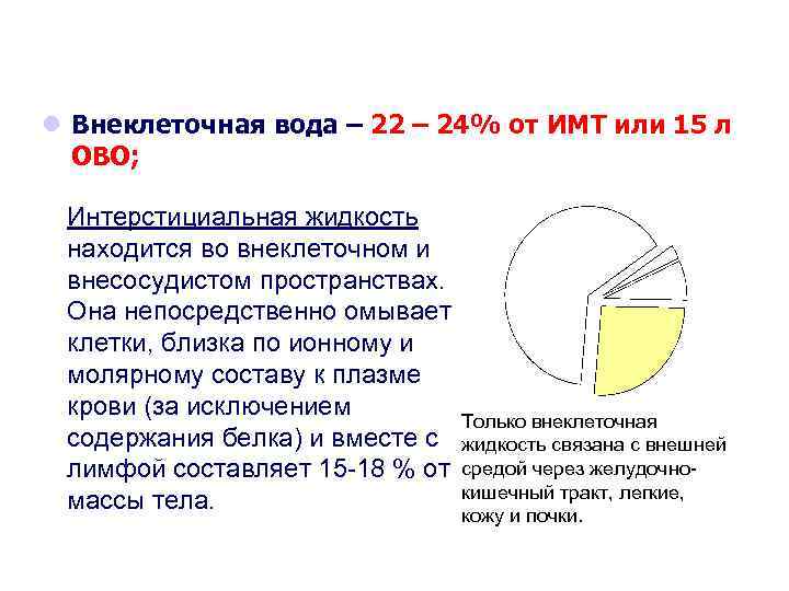 l Внеклеточная вода – 22 – 24% от ИМТ или 15 л ОВО; Интерстициальная