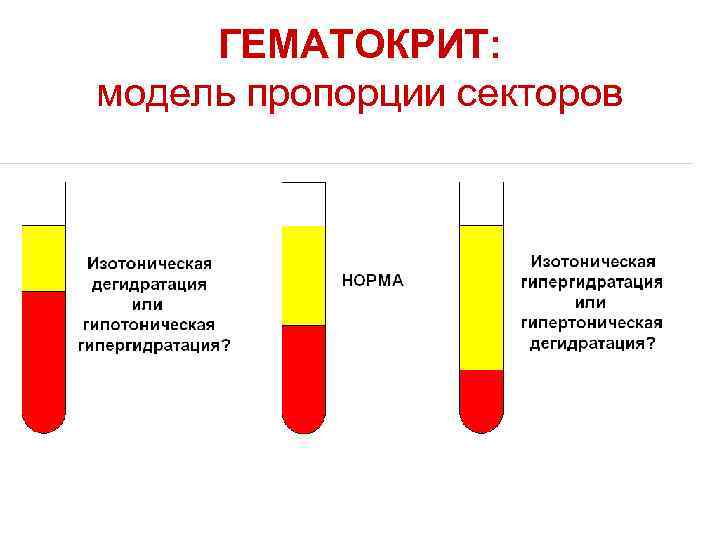 ГЕМАТОКРИТ: модель пропорции секторов 