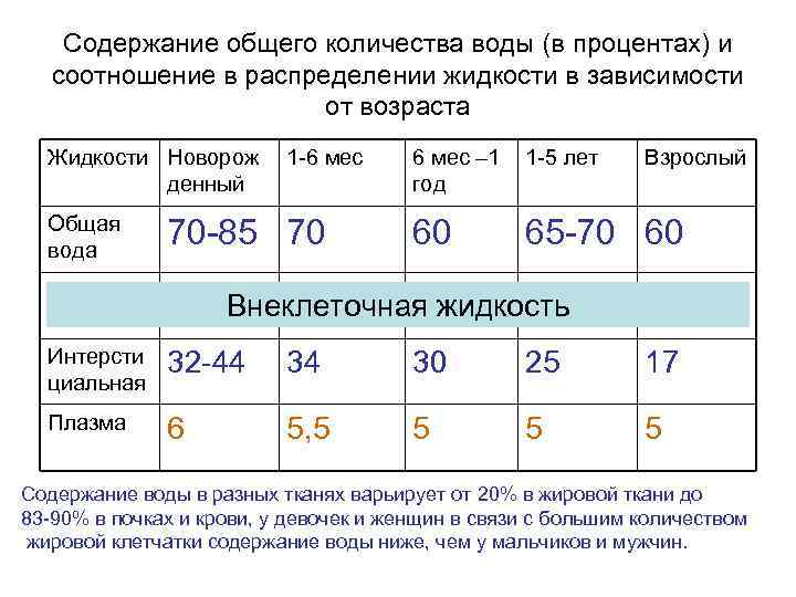 Содержание общего количества воды (в процентах) и соотношение в распределении жидкости в зависимости от