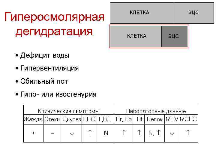 Гиперосмолярная дегидратация • Дефицит воды • Гипервентиляция • Обильный пот • Гипо- или изостенурия