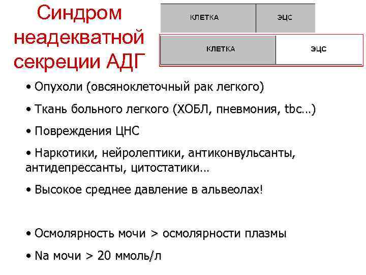 Синдром неадекватной секреции АДГ • Опухоли (овсяноклеточный рак легкого) • Ткань больного легкого (ХОБЛ,