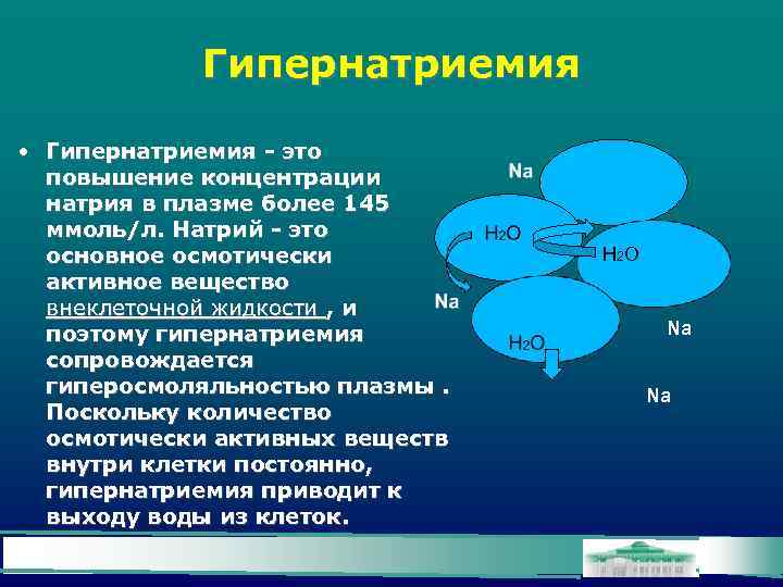 Гипернатриемия • Гипернатриемия - это повышение концентрации натрия в плазме более 145 ммоль/л. Натрий